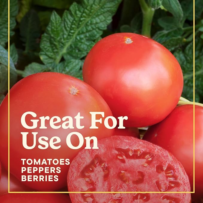 Miracle-Gro LiquaFeed Tomato, Fruits and Vegetables Plant Food, - Image 9