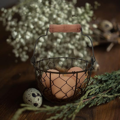 TAIANLE.Small Wire Egg Collecting Basket - Image 5