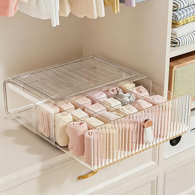 Sock Underwear Drawer Organizer by Neprock