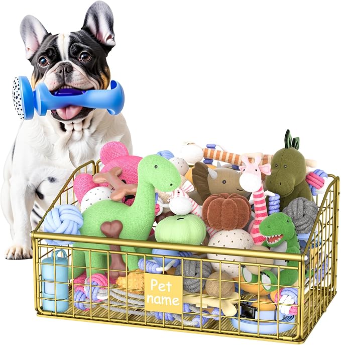 Kaiferty Indestructible Dog Toy basket, Medium Toy Box by Kaiferty