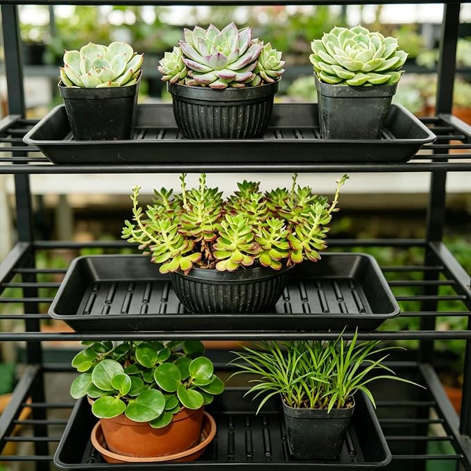 2 Pack Plastic Plant Tray Saucer Rectangular 17 18 Inch, Planter Trays Saucers - Image 7