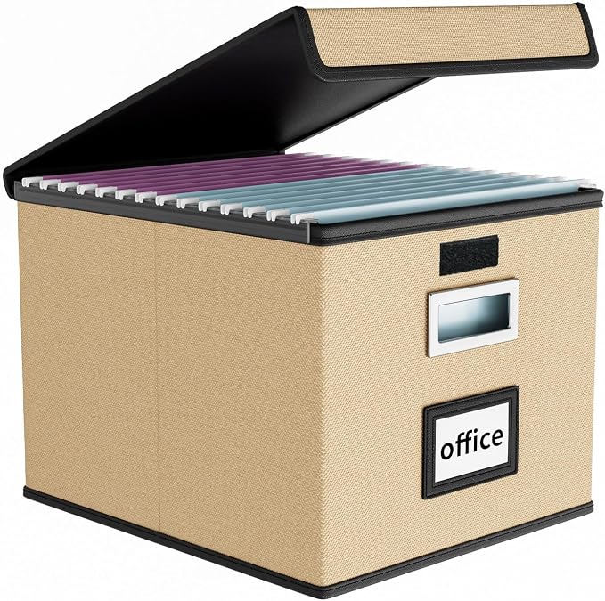 File Organizer Box with Lids, Collapsible File Folder Organizer | File Box with by Huolewa