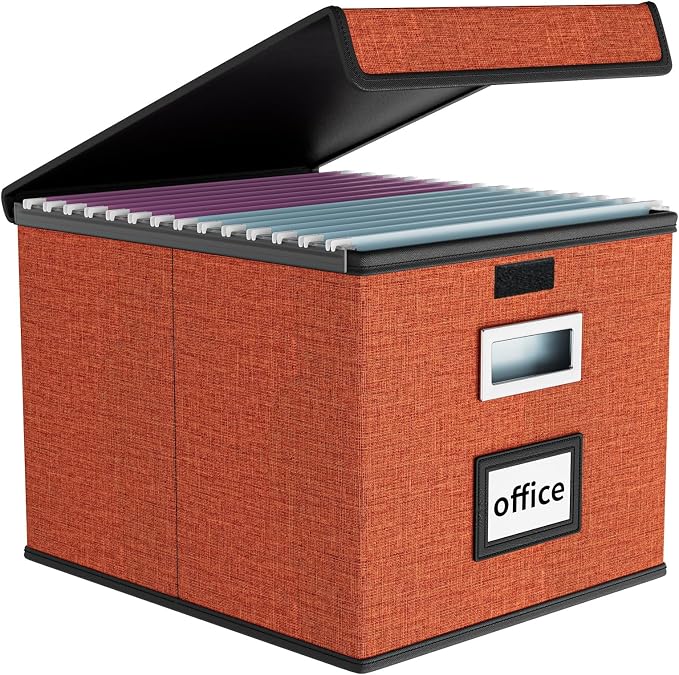 File Organizer Box with Lids, Collapsible File Folder Organizer | File Box with by Huolewa