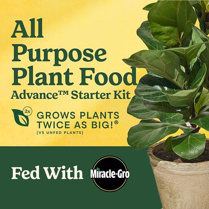 Miracle-Gro LiquaFeed All Purpose Plant Food Advance Starter Kit | - Image 2