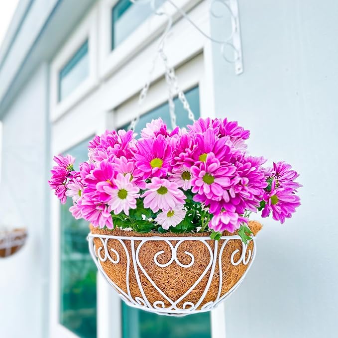 LaLaGreen Hanging Baskets for Plants Small Hanging Flower Pots by L%C3%A1L%C3%A1Green