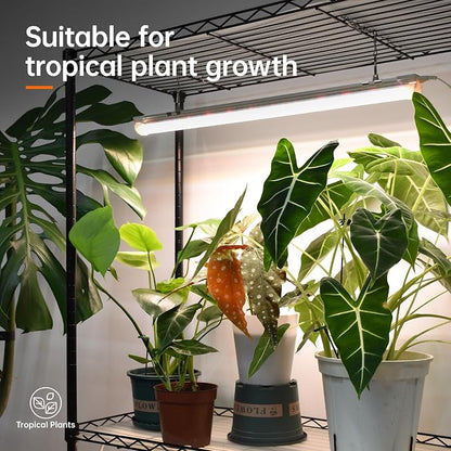 Bstrip Plant Shelf with Grow Light, Metal Plant Stand with Adjustable Rack and - Image 4