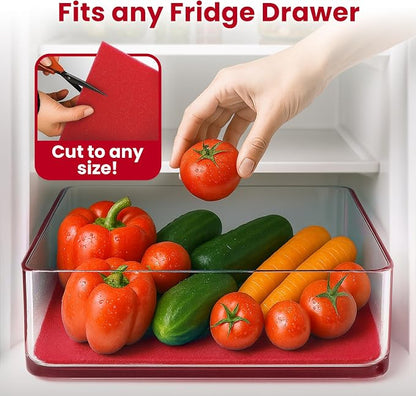 2X The Life of Your Produce - Image 6
