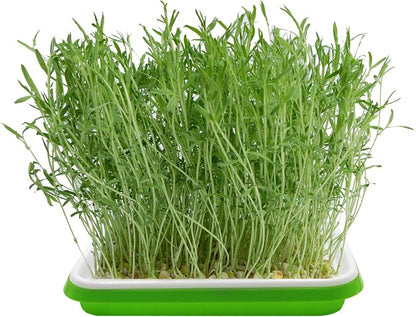 5 Layers Seed Starter Kit - Image 7