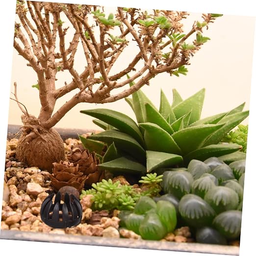 20pcs Plastic Fertilizer Container - Image 6