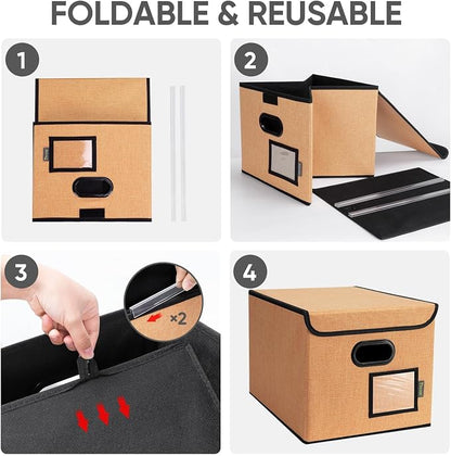 BALEINE File Organizer Box - Image 8