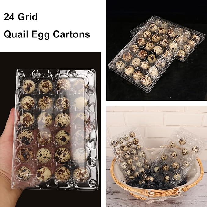 120 Pack Quail Egg Cartons - Image 4