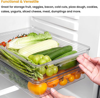 vacane Stackable Freezer Organizer, Flat Produce Saver Sliced Cheese Container - Image 3