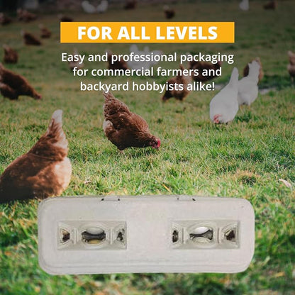 Stromberg's Large Blank Egg Cartons, Bulk Pack - Image 5