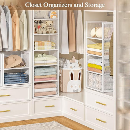 2-Tier Stackable Closet Organizers and Storage Basket, Wire Clothes Shelf - Image 3