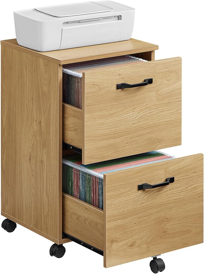 VASAGLE 2-Drawer File Cabinet, Small Rolling Filing Cabinet by VASAGLEbySONGMICSHOME