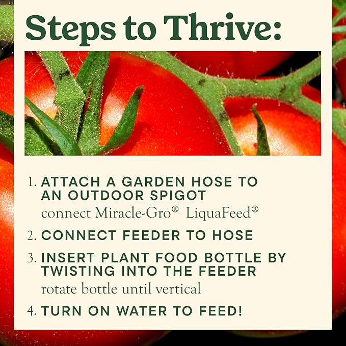 Miracle-Gro LiquaFeed Tomato, Fruits and Vegetables Plant Food, - Image 5