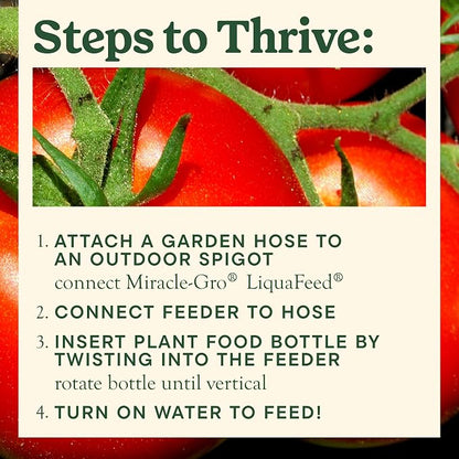 Miracle-Gro LiquaFeed Tomato, Fruits and Vegetables Plant Food, - Image 5