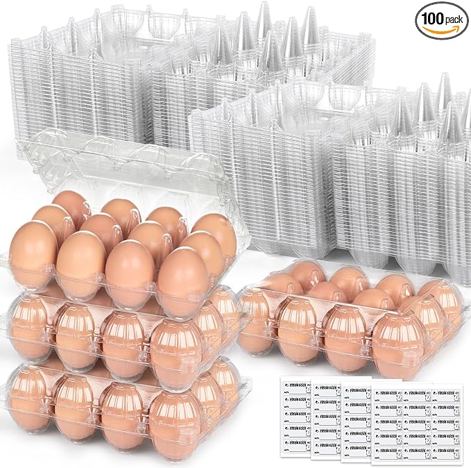 LOVEINUSA 100 PCS 12 Count Plastic Egg Cartons, by LoveInUsa