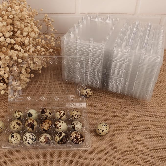 200 Pack Quail Egg Cartons, Holds up to 15 Quail Eggs Securely - Image 5