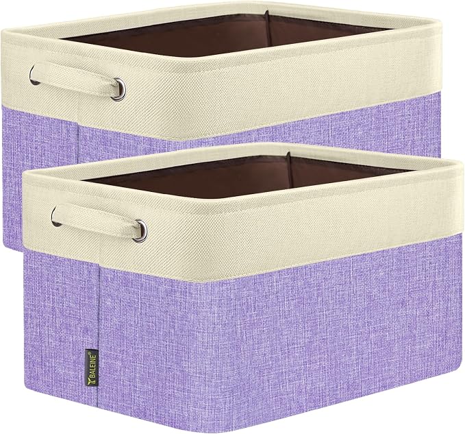 BALEINE 2 Pack Fabric Storage Bins by BALEINE