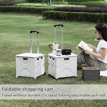 Collapsible Rolling Crate on Wheels - Image 6