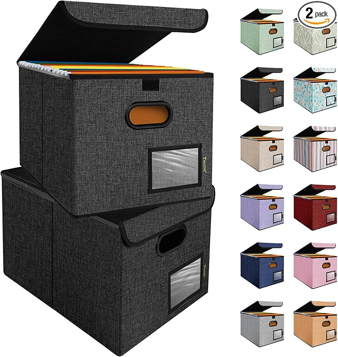BALEINE File Organizer Box by BALEINE