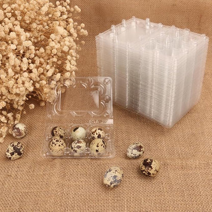 300 Pack Quail Egg Cartons, Holds up to 6 Quail Eggs Securely - Image 5