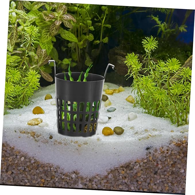 BESPORTBLE 6pcs Hydroponic Plant Basket Net Cups - Image 9