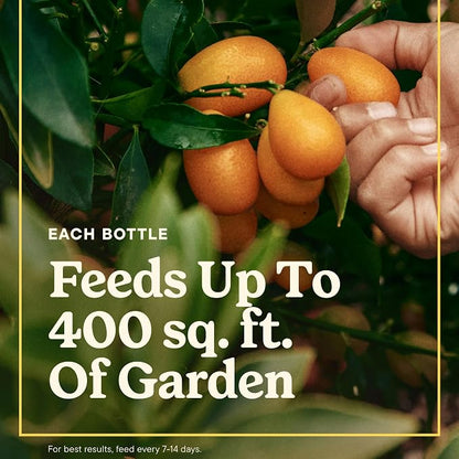 Miracle-Gro LiquaFeed Tomato, Fruits and Vegetables Plant Food, - Image 3