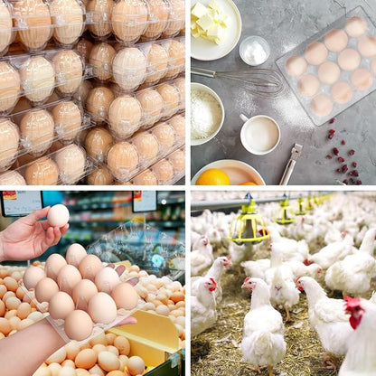 150 Pack Bulk Egg Cartons, Egg Tray Carton Holder - Image 7