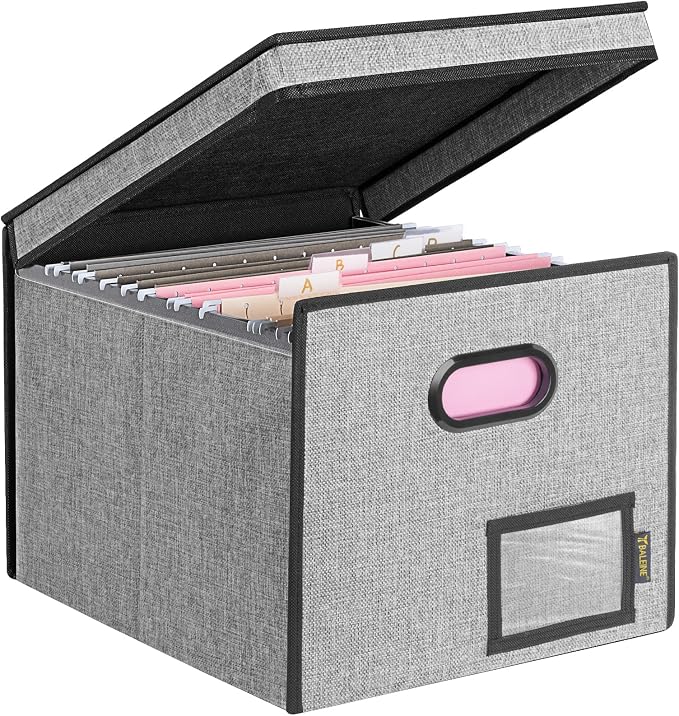 BALEINE File Organizer Box by BALEINE