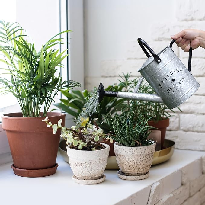 Garutom Galvanized Watering Can - Image 2