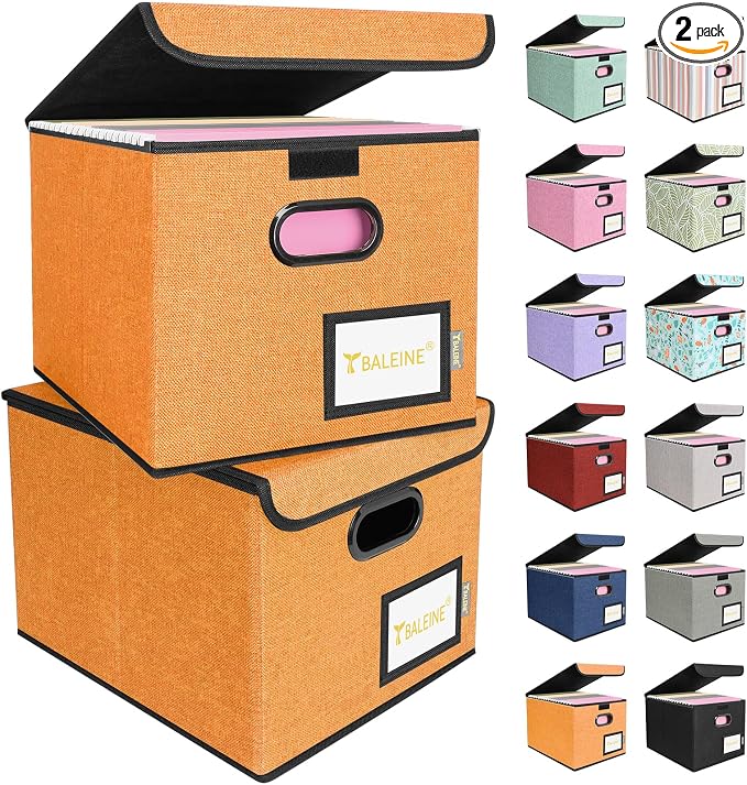 BALEINE File Organizer Box by BALEINE