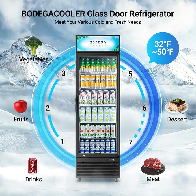 BODEGACOOLER Commercial Merchandiser Refrigerator, 15.5Cu. Ft Glass Door - Image 5