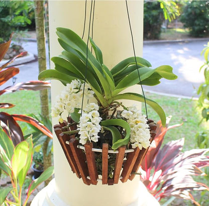 Set of 12 Hanging Wires for Orchid Baskets and Hanging Planters, 31 Inches Long - Image 4