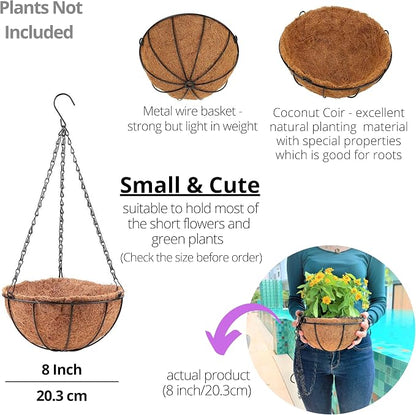 LaLaGreen Hanging Baskets Small Hanging Planter - Image 5