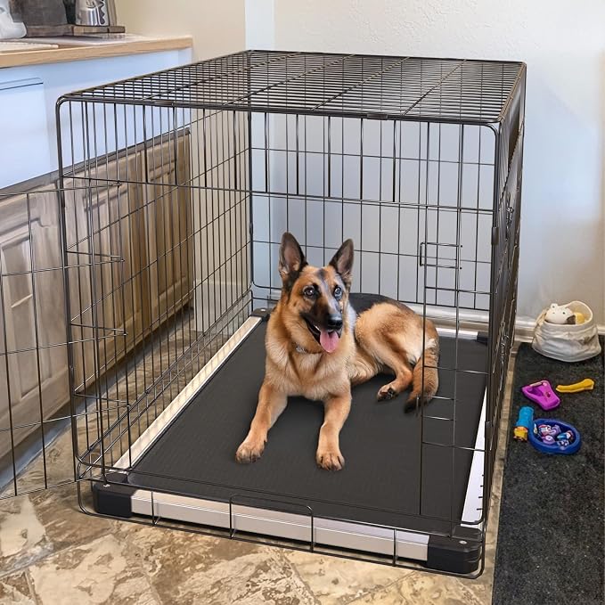 FXW TitanNest Chew-Proof Elevated Dog Bed, Raised Cot - Image 3