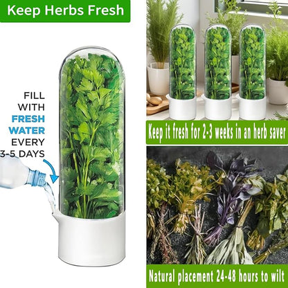 Herb Saver for Refrigerator - Image 4