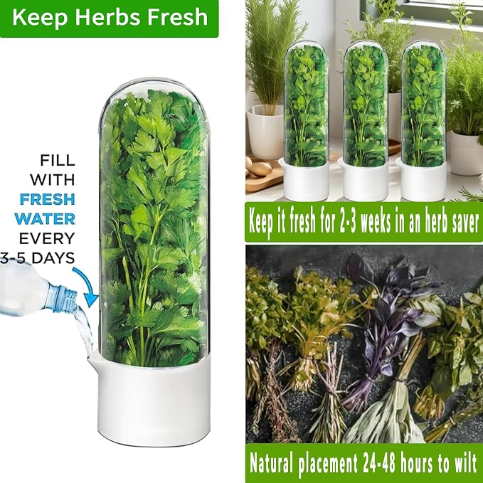 Cilantro Container for Fridge, Herb Saver for Refrigerator - Image 3