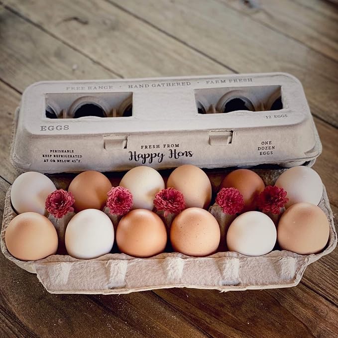 Egg Cartons- Adorable Printed Design - Image 5