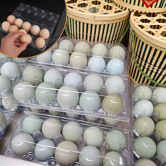98 Pack Bulk Egg Cartons, Egg Tray Carton Holder - Image 5