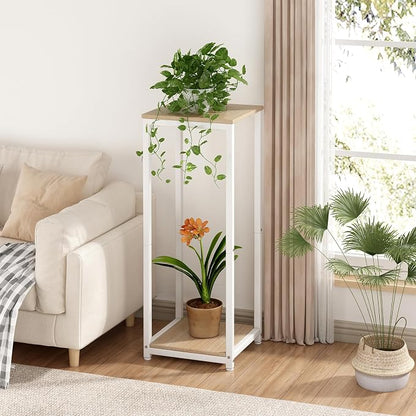 Plant Stand Indoor Corner Tall 2 Tier Metal Modern Flower Storage Plant Shelf - Image 2
