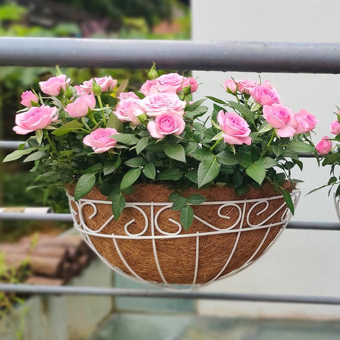 LaLaGreen Wall Mounted Flower Baskets Extra Large Deck Rail Hanging Planters - Image 8