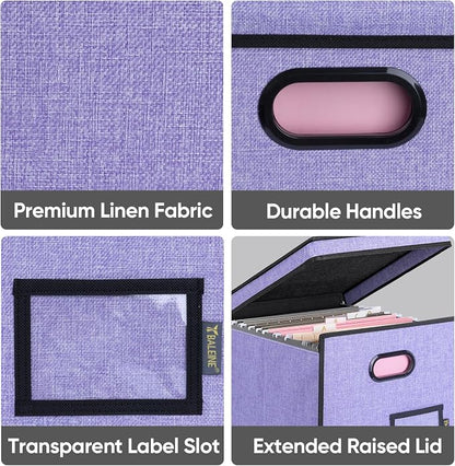 BALEINE File Organizer Box - Image 6