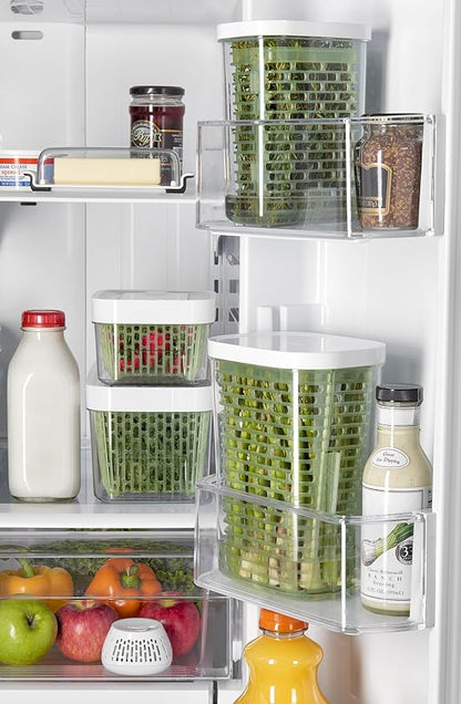 OXO Good Grips GreenSaver Herb Keeper- 1.8 QT - Image 2