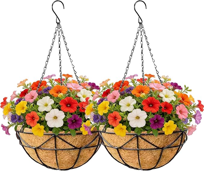 EIMQUVW 2 Pack Hanging Planters by EIMQUVW