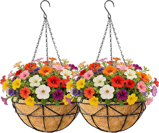 EIMQUVW 2 Pack Hanging Planters by EIMQUVW