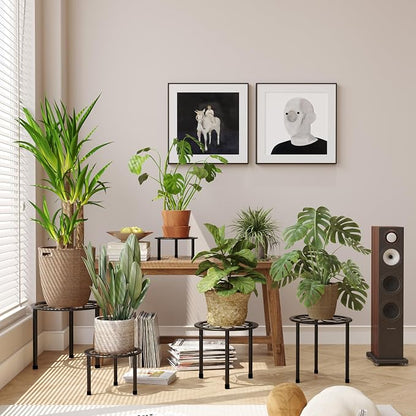 Metal Plant Stand Indoor Outdoor, Indoor Plant Stands - Image 6
