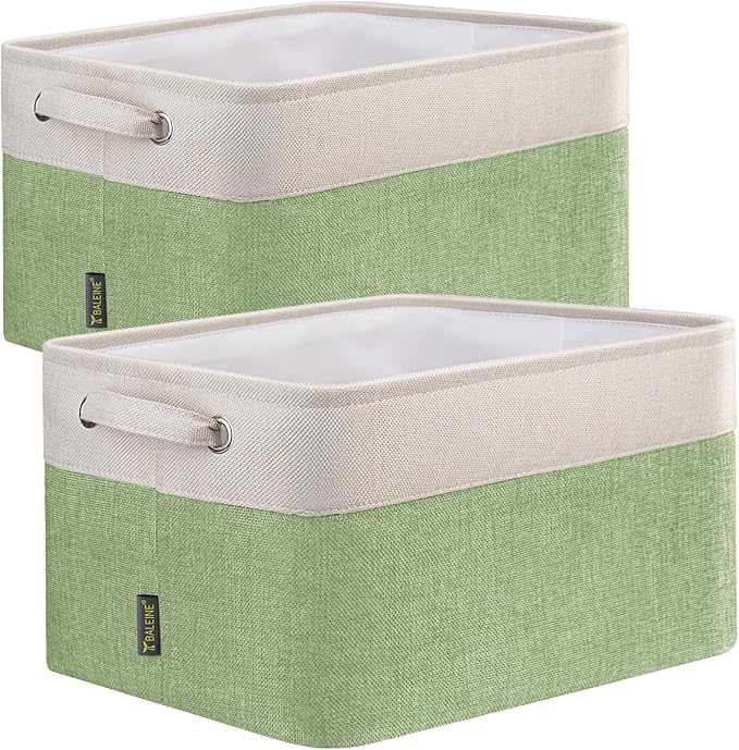 BALEINE 2 Pack Fabric Storage Bins by BALEINE