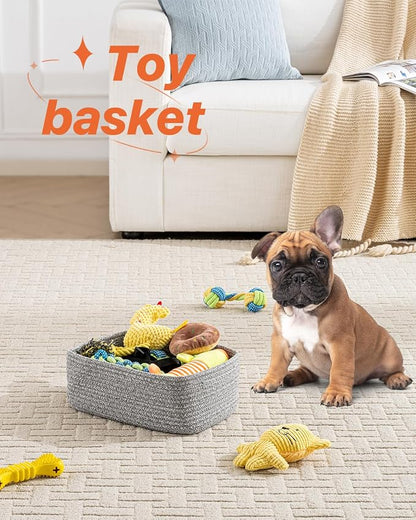 Small Woven Basket, Storage Basket - Image 5